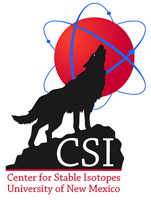 CSI logo