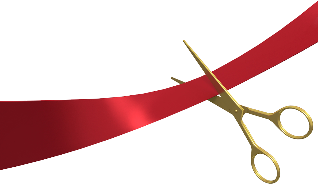 20 Ceremonial Ribbon Cutting Scissors